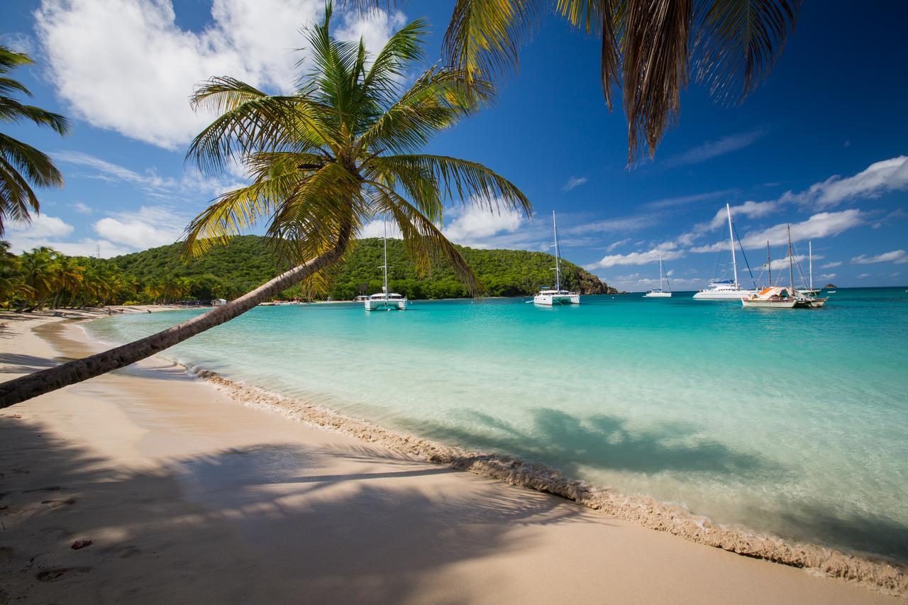 Salt Whistle Bay Retreat Mayreau Island Exterior foto
